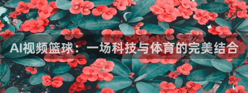 AI视频篮球：一场科技与体育的完美结合