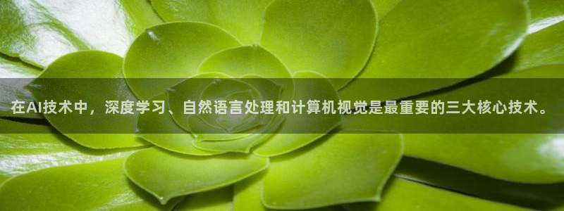 在AI技术中，深度学习、自然语言处理和计算机视觉是最重要的三大核心技术。