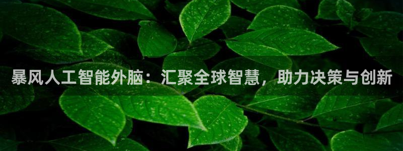 暴风人工智能外脑：汇聚全球智慧，助力决策与创新