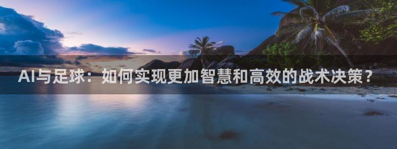 AI与足球：如何实现更加智慧和高效的战术决策？