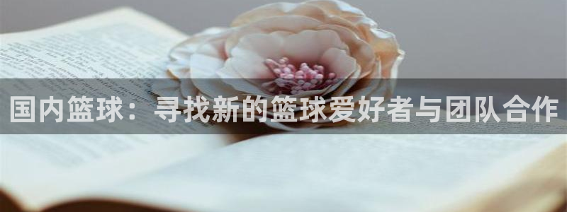 国内篮球：寻找新的篮球爱好者与团队合作