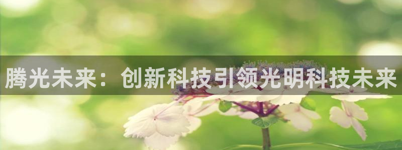 腾光未来：创新科技引领光明科技未来