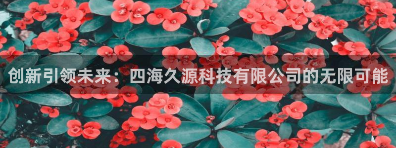 创新引领未来：四海久源科技有限公司的无限可能