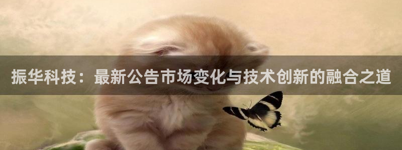 振华科技：最新公告市场变化与技术创新的融合之道
