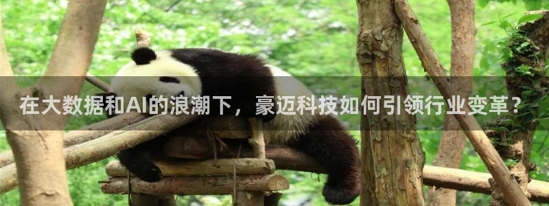 在大数据和AI的浪潮下，豪迈科技如何引领行业变革？