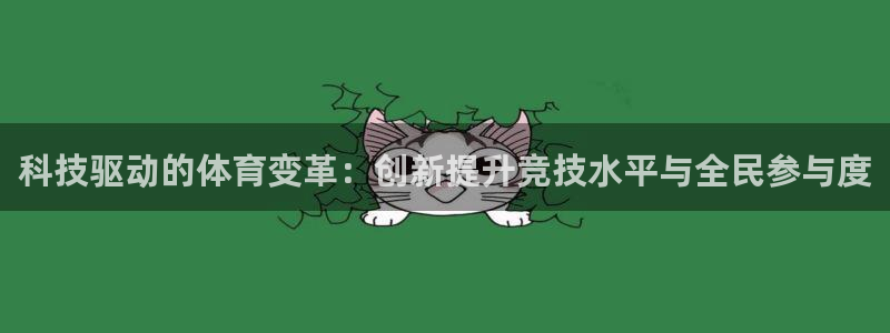 科技驱动的体育变革：创新提升竞技水平与全民参与度