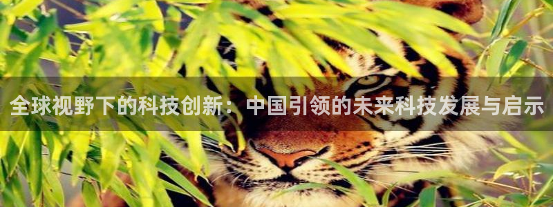 全球视野下的科技创新：中国引领的未来科技发展与启示