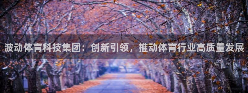 波动体育科技集团：创新引领，推动体育行业高质量发展