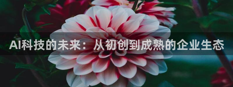 AI科技的未来：从初创到成熟的企业生态