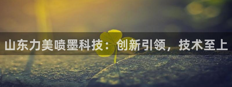 山东力美喷墨科技：创新引领，技术至上