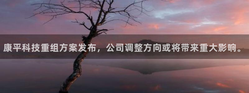 康平科技重组方案发布，公司调整方向或将带来重大影响。
