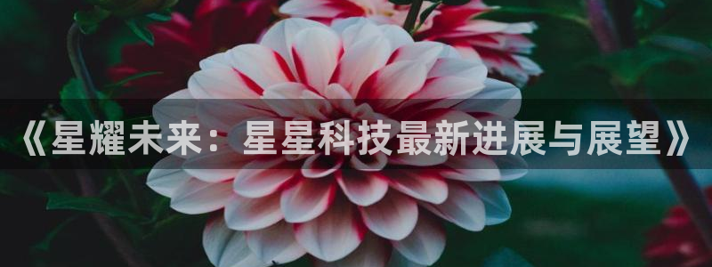 《星耀未来：星星科技最新进展与展望》