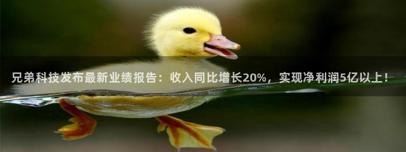 兄弟科技发布最新业绩报告：收入同比增长20%，实现净利润5亿以上！