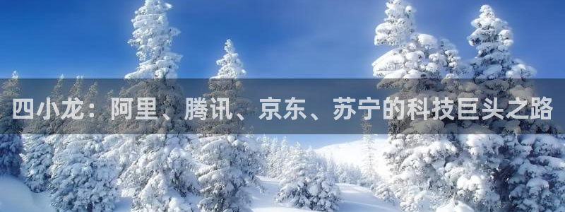 四小龙：阿里、腾讯、京东、苏宁的科技巨头之路