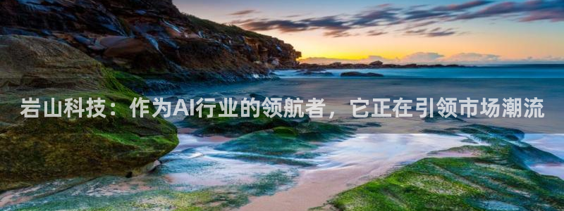 岩山科技：作为AI行业的领航者，它正在引领市场潮流