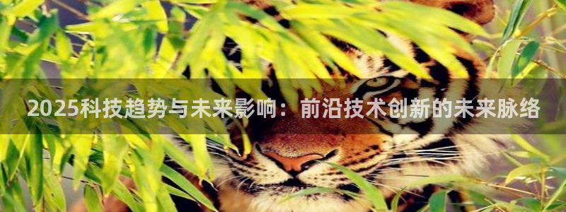 2025科技趋势与未来影响：前沿技术创新的未来脉络