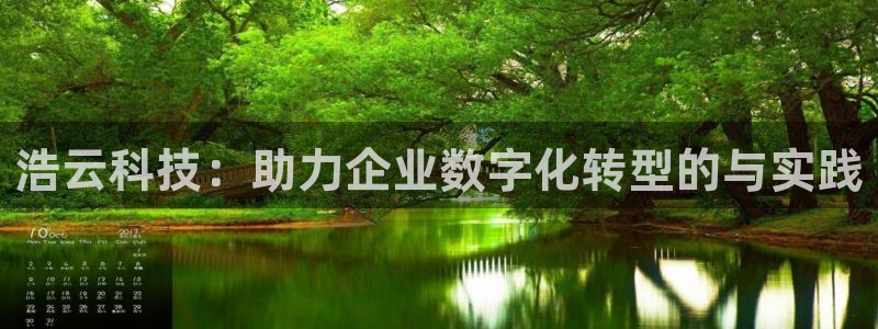 浩云科技：助力企业数字化转型的与实践