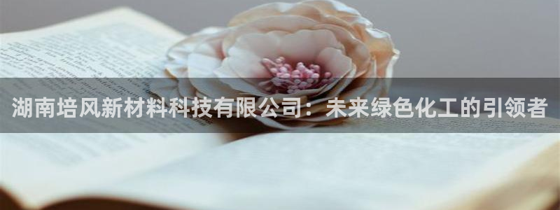 湖南培风新材料科技有限公司：未来绿色化工的引领者