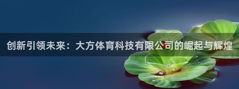 创新引领未来：大方体育科技有限公司的崛起与辉煌