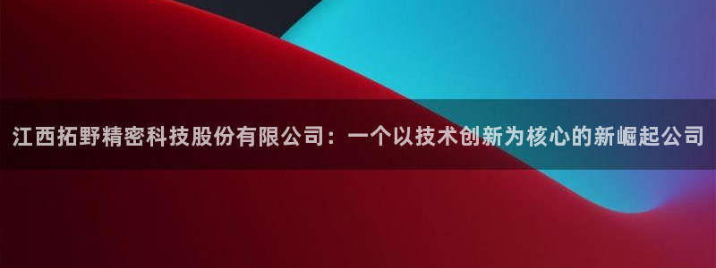 江西拓野精密科技股份有限公司：一个以技术创新为核心的新崛起公司