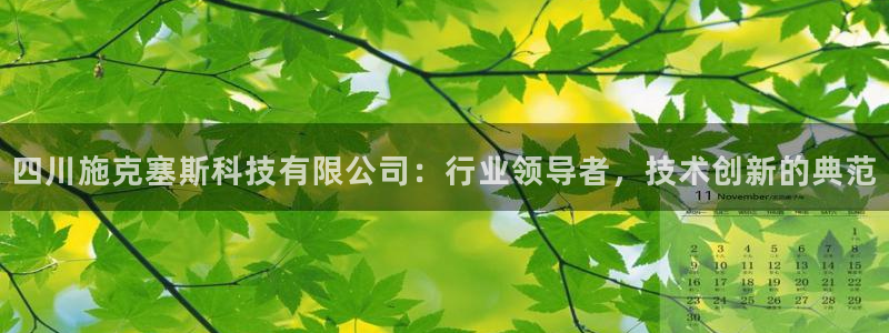 四川施克塞斯科技有限公司：行业领导者，技术创新的典范
