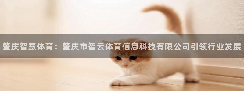 肇庆智慧体育：肇庆市智云体育信息科技有限公司引领行业发展