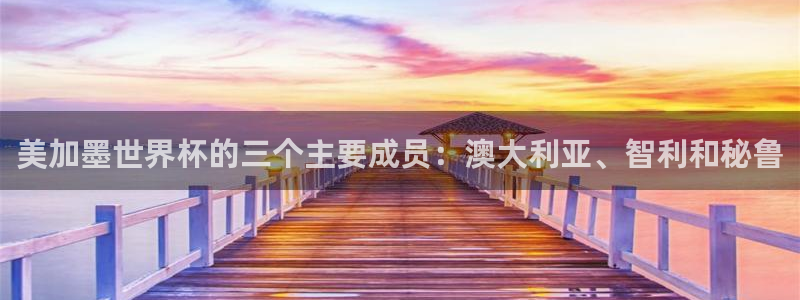 美加墨世界杯的三个主要成员：澳大利亚、智利和秘鲁