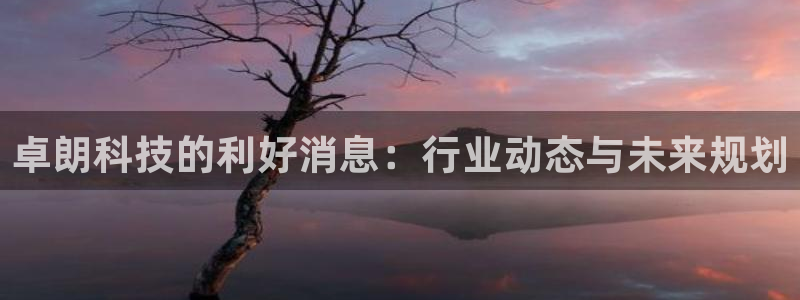卓朗科技的利好消息：行业动态与未来规划
