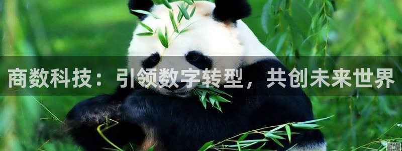 商数科技：引领数字转型，共创未来世界