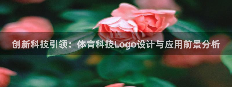 创新科技引领：体育科技Logo设计与应用前景分析