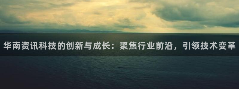 华南资讯科技的创新与成长：聚焦行业前沿，引领技术变革