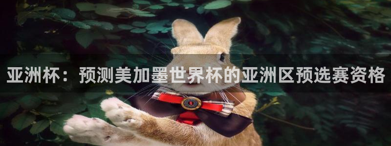 亚洲杯：预测美加墨世界杯的亚洲区预选赛资格