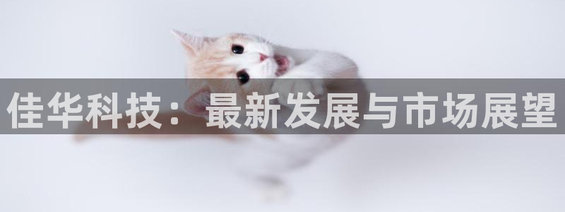 佳华科技：最新发展与市场展望