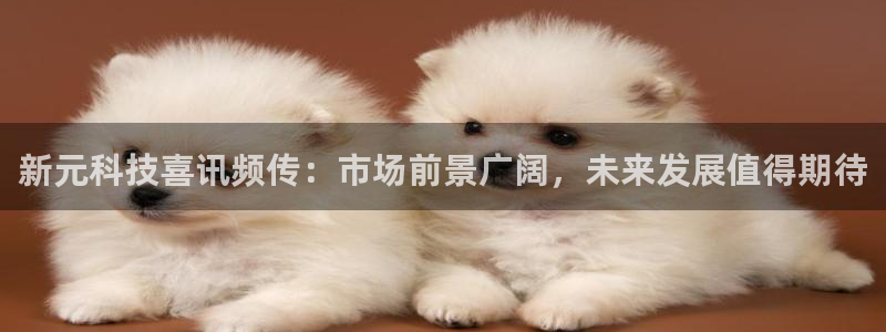 新元科技喜讯频传：市场前景广阔，未来发展值得期待