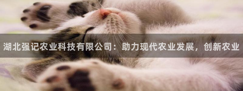 湖北强记农业科技有限公司：助力现代农业发展，创新农业
