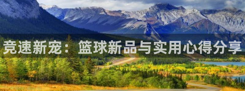 竞速新宠：篮球新品与实用心得分享
