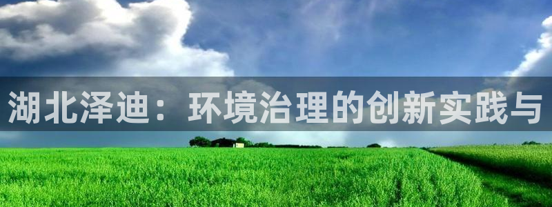 湖北泽迪：环境治理的创新实践与