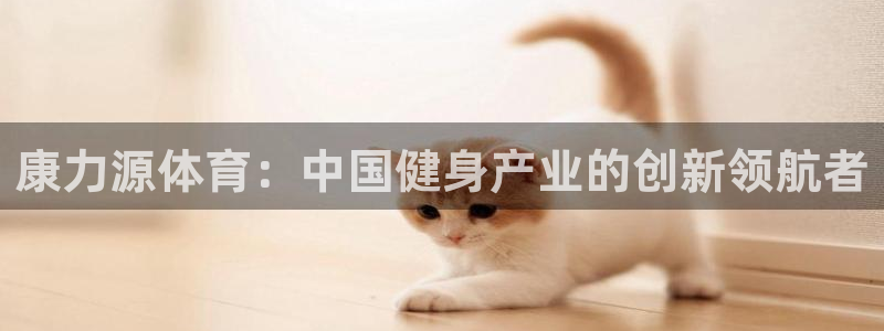 康力源体育：中国健身产业的创新领航者