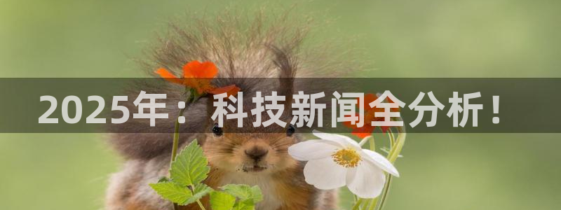 2025年：科技新闻全分析！