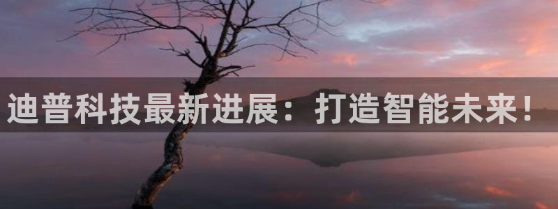 迪普科技最新进展：打造智能未来！