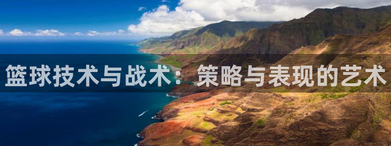篮球技术与战术：策略与表现的艺术