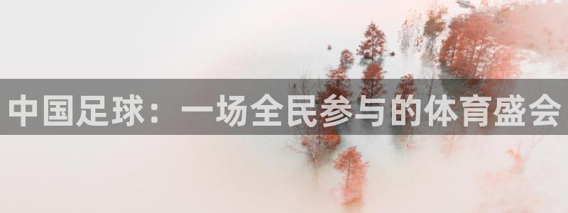 中国足球：一场全民参与的体育盛会