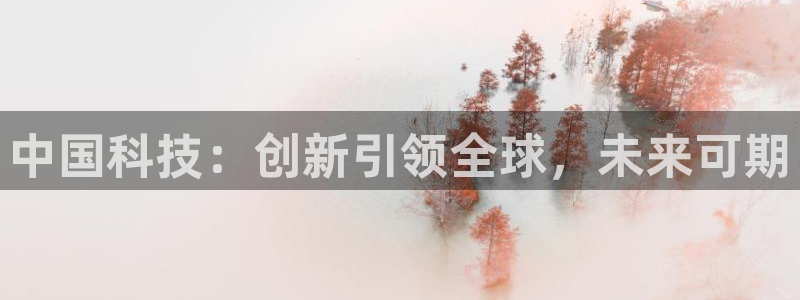 中国科技：创新引领全球，未来可期