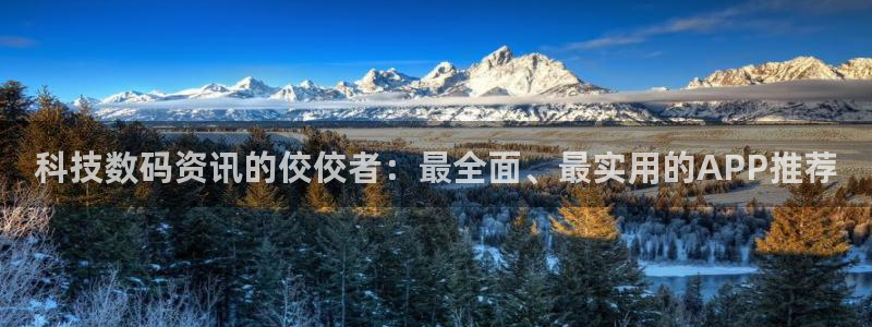 科技数码资讯的佼佼者：最全面、最实用的APP推荐