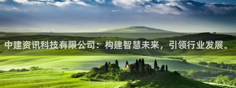 中建资讯科技有限公司：构建智慧未来，引领行业发展。