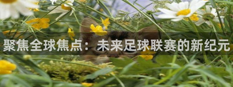 聚焦全球焦点：未来足球联赛的新纪元