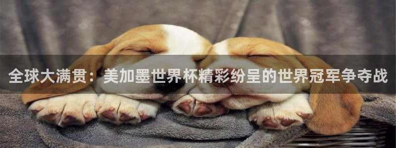 全球大满贯：美加墨世界杯精彩纷呈的世界冠军争夺战